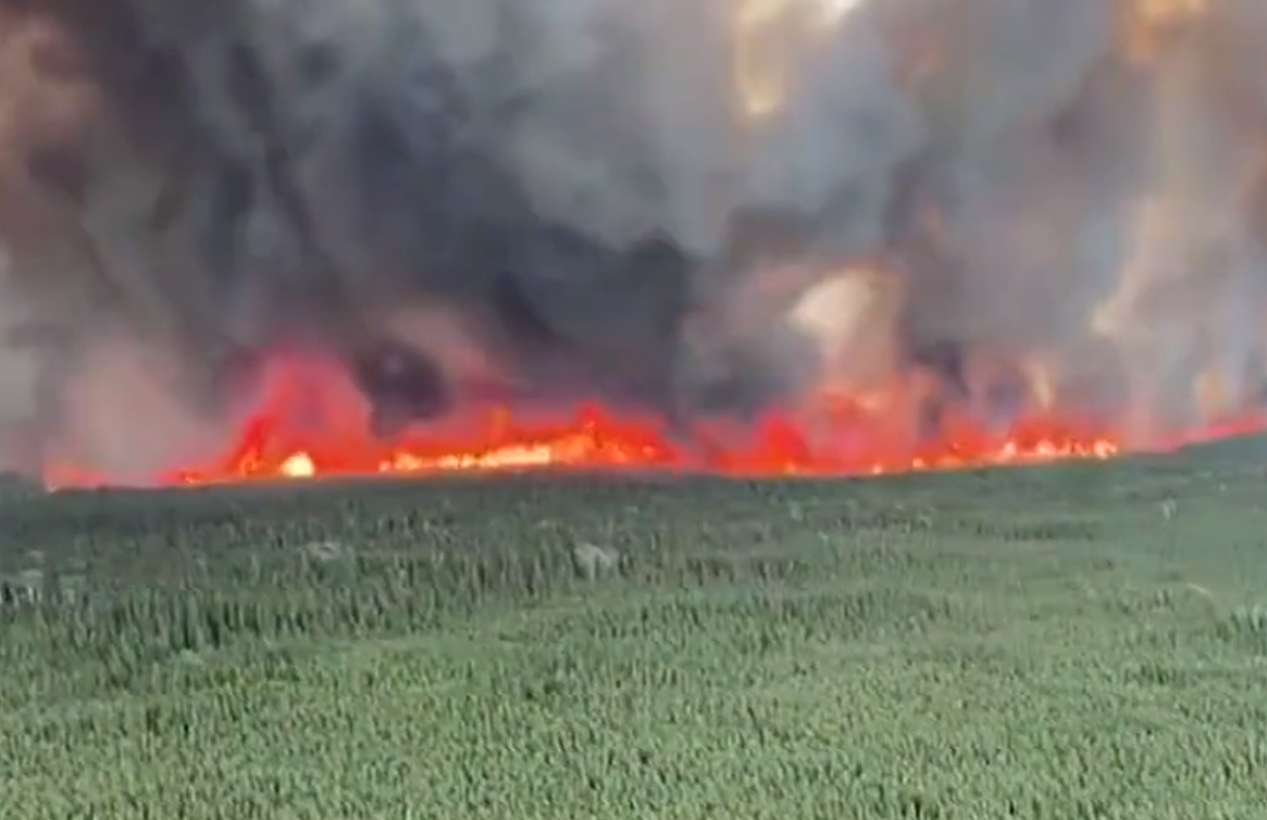 美国阿拉斯加大火已烧了三周 过火面积相当于欧洲一个国家
