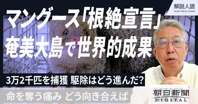 【解説人語】マングース「根絶宣言」の奄美大島　世界的成果への歩み