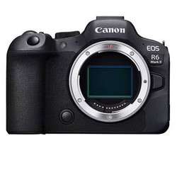 88VIP：Canon 佳能 EOS R6 Mark II 全画幅微单相机 单机身 12985.55元包邮（满减）