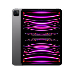 Apple 苹果 iPad Pro 11英寸平板电脑 2022年款(1TB WLAN版/M2芯片/学习办公娱乐/MNXK3CH/A)深空灰色 8935.51元