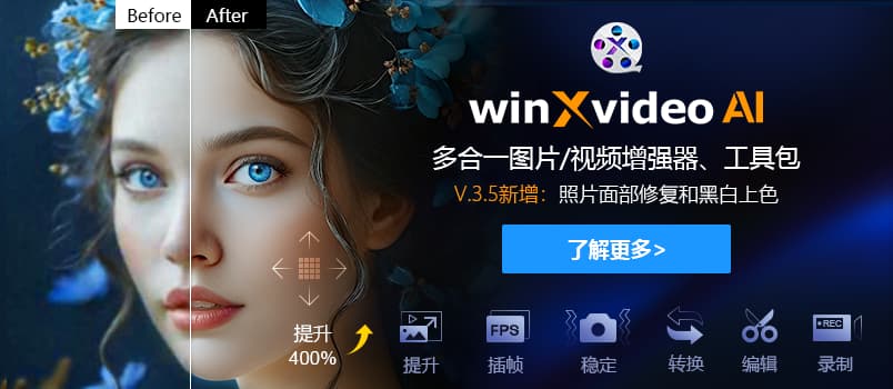 免费获取！Winxvideo AI：高效提升视频与照片的质量和像素