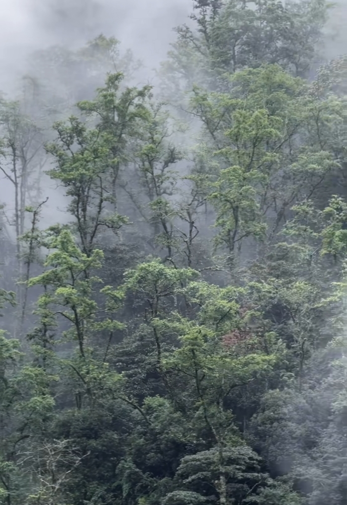 水雾变显示屏，松下“Silky Fine Mist”技术可实现空中投影