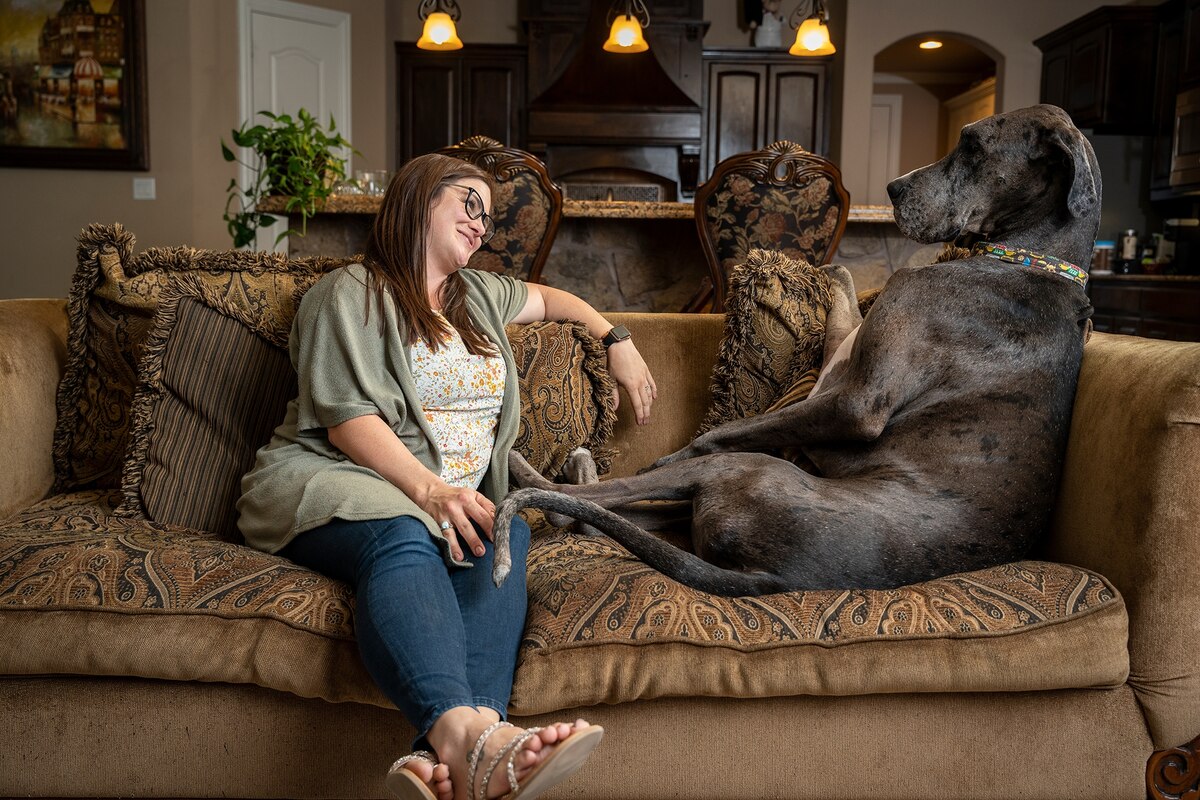 なぜ大型犬は早死にで、がんになりやすいのか　動物全般と逆