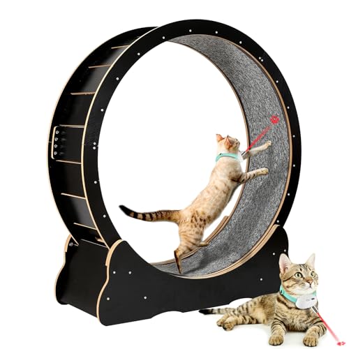 【50%OFF！】Docal Cat Exercise Wheel － 猫回しキャットローラーが7,499円送料無料 - 安値世界一への挑戦