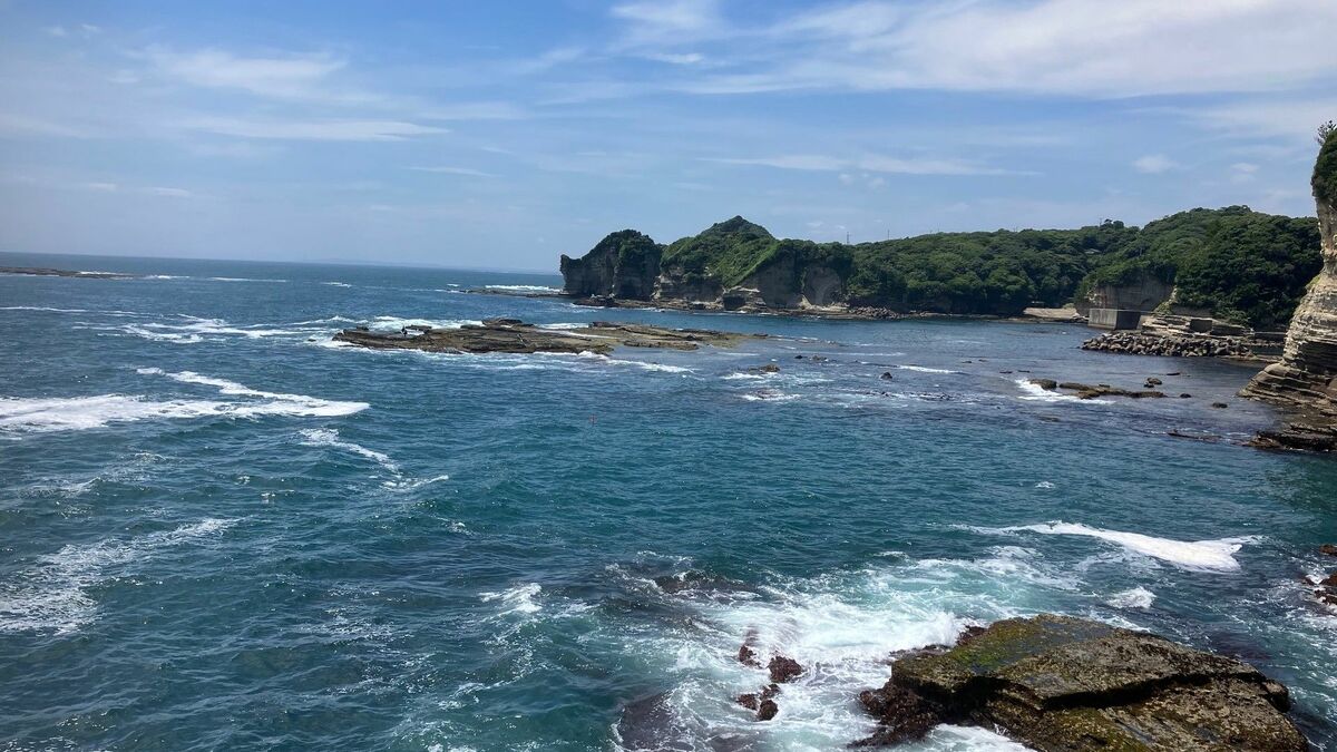 ｢余命1年｣治療第2弾がん免疫療法のリアルな効果 副作用は軽く､旅行に行けるほど体調良好だったが… | 人生100年時代なんてウソだった | 東洋経済オンライン