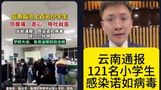 云南121名小学生感染诺如病毒 疑似全国爆发(图)