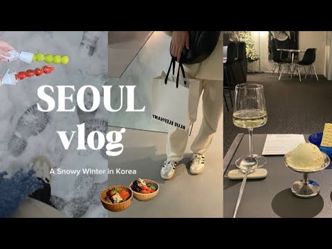 【韓国vlog】雪の韓国旅行vlog✈︎❄️｜ワインとアイスのカフェ