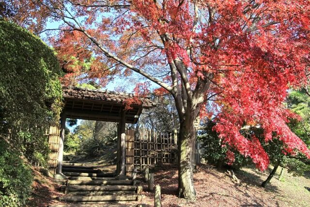 茨城県に旅行いくんやがおすすめポイントあるか